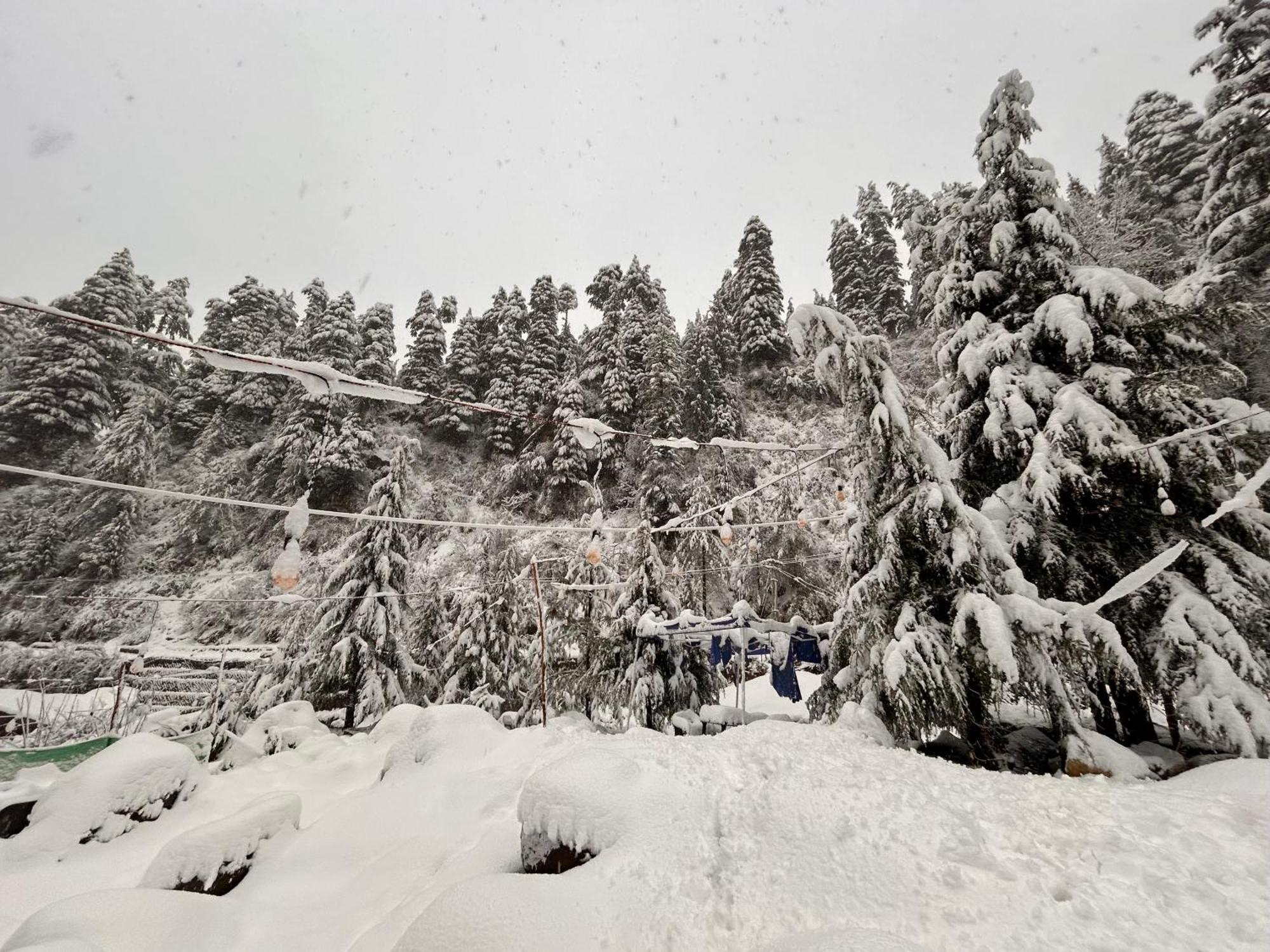 Hostel 360 Degree, Riverside Stay, Old Manali Zewnętrze zdjęcie