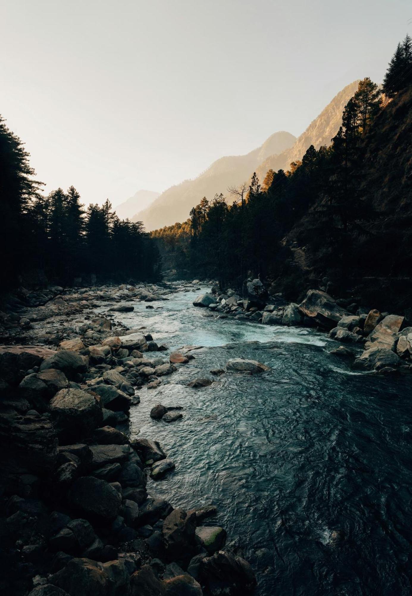 Hostel 360 Degree, Riverside Stay, Old Manali Zewnętrze zdjęcie