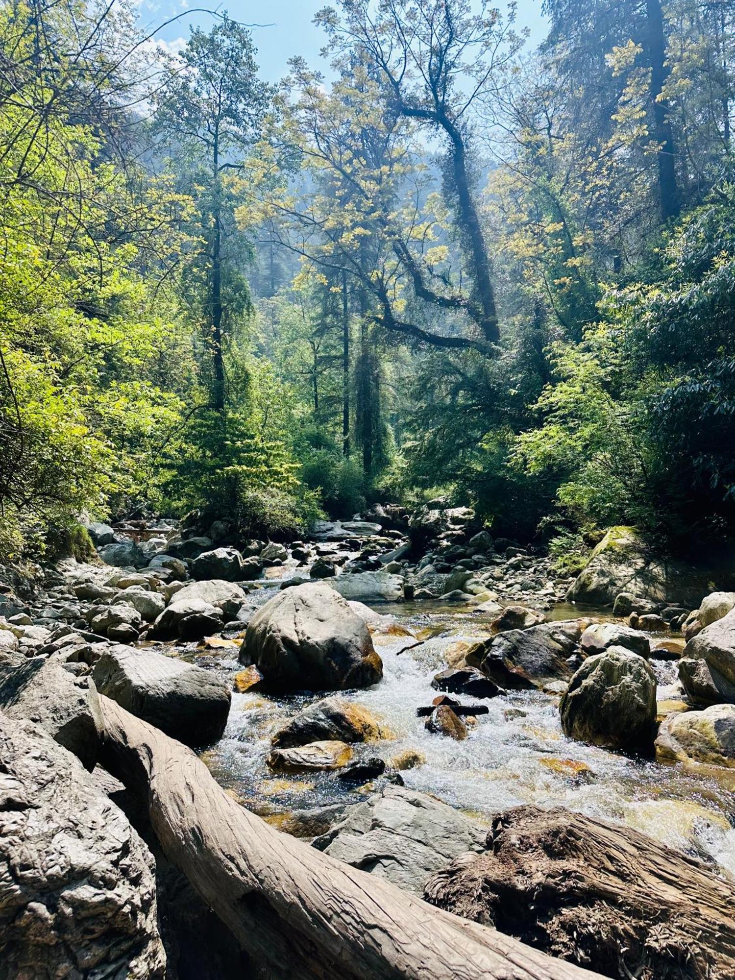 Hostel 360 Degree, Riverside Stay, Old Manali Zewnętrze zdjęcie